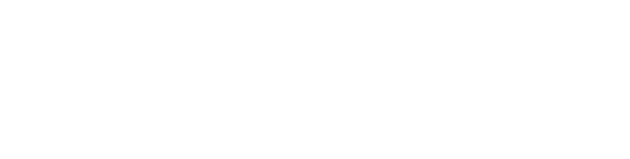 Analog Studio logo